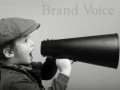 ۵ گام برای تهیه جدول صدای برند Brand Voice