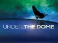 CBS به طور رسمی تمدید  و یا کنسلی فصل چهارم Under the Dome را اعلام کرد