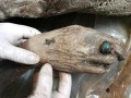 M.A.Z - کشف جسد سالم زن ۷۰۰ ساله ( ۸ عکس)