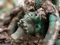 M.A.Z - کشف آثار باستانی عظیم در فرانسه