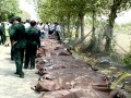 M.A.Z - عکس: قربانیان حادثه «ایران ۱۴۰» (۱۸+)