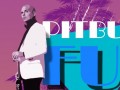 Pitbull ft Chris Brown Fun hd klib indir - mp۳indirdur.com