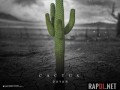 Rapdl v۲ - Dayan - Cactus