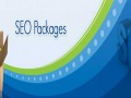 SEO PACKAGES