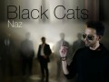 Voi۳ | Download New Music Video By Black Cats Called Naz