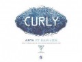 Voi۳ | Download New Song By Arta & Sami Low Called Curly