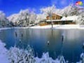 دانلود والپیپر طبیعت زمستان در اندازه ۱۰۲۴x۷۶۸