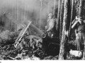 نبرد خونبار جنگل هارتگن در غرب آلمان ۱۹۴۴