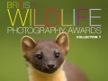 برندگان جایزه عکاسی از حیوانات، انگلیس ۲۰۱۶
