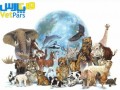وت پارس :: روز جهانی حقوق حیوانات : دانلود ۲ فایل کاربردی در زمینه حقوق حیوانات از دیدگاه ها و تفکرات گوناگون