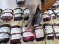 نذر خون ۴۰ هزار ایرانی ادا شد