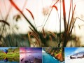 دانلود مجموعه ۴۵ تصویر با کیفیت با موضوع طبیعت با فرمت jpg (مجموعه ۱)