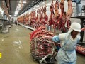 وت پارس :: ۶ کشور واردات گوشت برزیلی را ممنوع کردند