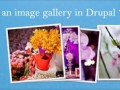 ایجاد یک گالری عکس زیبا در دروپال ۷ | DrupaLion
