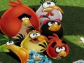 تصاویر پس زمینه برای آیپد با موضوع بازی معروف Angry Birds