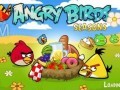 دانلود بازی کم حجم پرندگان عصبانی کامپیوتر Angry Birds Seasons v۱.۵.۱