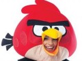 لباس Angry Birds در هالووینی که گذشت