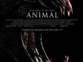 دانلود فیلم ترسناک Animal ۲۰۱۴ -- خیلی هم خوب D: