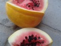 بدون بذری خاص هندوانه هایی که کشاورز را شوکه کرد! | بمب آف BOMB OFF