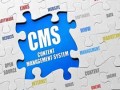 سیستم مدیریت محتوا سایت (CMS ) چیست و با کسب و کار موفق چه رابطه ای دارد؟