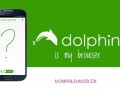 دانلود مرورگر سریع دلفین برای اندروید Dolphin Browser for Android v۱۱.۳.۵ build ۴۰۷ ( ایران دانلود Downloadir.ir )
