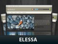 پوسته Elessa برای وردپرس | آی آر کامپیوتر