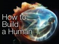 دانلود فيلم مستند :  HOW TO BUILD A HUMAN – PART ۱