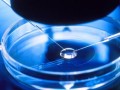 روش IVF جدید امکان لقاح طبیعی را فراهم می کند - روژان