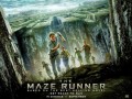 دانلود فیلم سینمایی دویدن در مارپیچ Maze Runner ۲۰۱۴ - پرشین بام | دانلود رایگان بازی ، نرم افزار اندروید و ios با لینک مستقیم