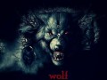 دانلود آهنگ جدید NajMan به نام WOLF | رسانه ویس