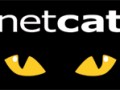 مدیریت شبکه در کالی لینوکس - قسمت سوم (بررسی ابزار NetCat) :: وبلاگ تک لیست