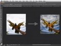 دانلود Photoshop CS۶ نسخه جدید