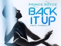 دانلود آهنگ جدید و فوق العاده زیبای Pitbull و Prince Royce به نام Back It Up