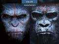 دانلود پک کامل فیلم Planet of the Apes - کل پک رایگان - لینک مستقیم - یعنی نبینی نصف عمرت بر فناست عالــــیه D: