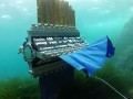 ربات Sepios شبیه یک سپیداج در اقیانوس شنا می کند - تكنشر