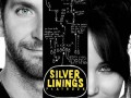 دانلود فیلم جدید فوق العاده دیدنی و کمدی Silver Linings Playbook محصول ۲۰۱۲ آمریکا