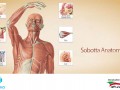 دانلود Sobotta Anatomy Atlas ۲.۰.۰ – نرم افزار آناتومی بدن انسان برای اندروید " ایران دانلود Downloadir.ir "