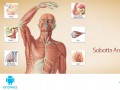 دانلود Sobotta Anatomy Atlas ۲.۰.۲ – نرم افزار آناتومی بدن انسان برای اندروید " ایران دانلود Downloadir.ir "