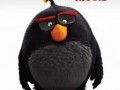 دانلود تریلر The Angry Birds Movie ۲۰۱۶ با لینک مستقیم | پیشنهاد تماشا