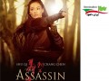 دانلود فیلم اکشن و مبارزه ای The Assassin ۲۰۱۵ با لینک مستقیم - ایران دانلود Downloadir.ir