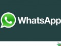 دانلود WhatsApp Messenger ۲.۱۲.۲۰۷ برنامه واتس آپ اندروید " ایران دانلود Downloadir.ir "