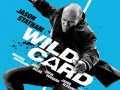 دانلود رایگان فیلم خارجی Wild Card ۲۰۱۵