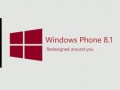 عملکرد Windows Phone ۸.۱ نسخه Developer’s Preview را در بنچمارک‌ها مشاهده کنید | گیک باش!