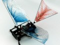 روبات بالداری که پرده از راز پرواز جانداران نخستین برداشت