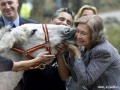 بوسیدن الاغ توسط ملکه اسپانیا!! + تصاویر