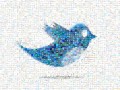 مراقب پیام های مشکوک در توئیتر باشید | مجله اینترنتی دیفوراف تیم
