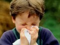 آلرژی های بهاری را جدی بگیرید | انجمن علمی میکروبیولوژی