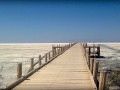 اولین کمپین زیست محیطی حمایت از دریاچه ی تشنه ارومیه