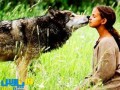 دلایل اهلی شدن گرگ و سگهای وحشی توسط انسان