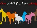 پوستر معرفی نژادهای سگ ( یک پوستر بی نظیر ، جامع و خلاصه ، برای اولین بار از وت پارس )